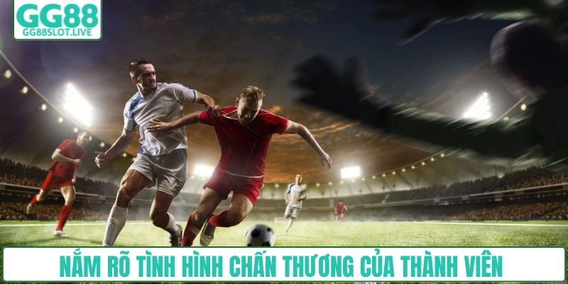 Lịch thi đấu của các thành viên trong đội