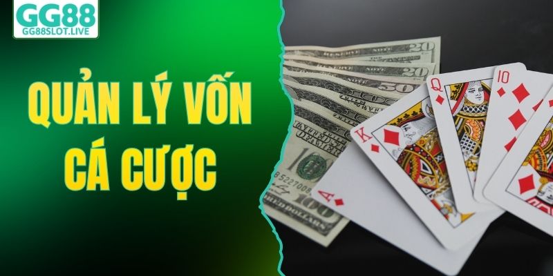 quản lý vốn cá cược